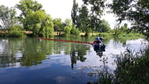 Pești morți pe Bega, în aval de stația de epurare Timișoara. Explicația autorităților
