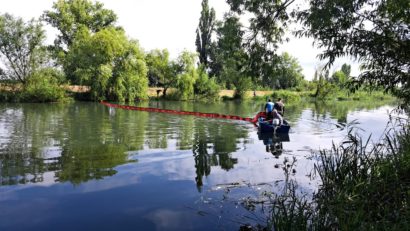 Pești morți pe Bega, în aval de stația de epurare Timișoara. Explicația autorităților