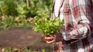 Afaceri cu suflet: Cum schimbă antreprenoriatul social comunitățile din România