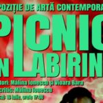 Picnic în labirint, epoziție de artă contemporană, la Muzeul Banatului
