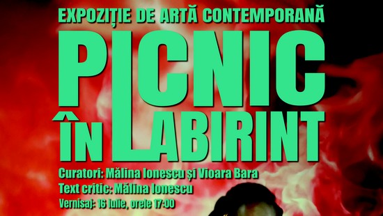 Picnic în labirint, epoziție de artă contemporană, la Muzeul Banatului