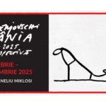 Timișoara găzduiește cea mai importantă expoziție Dan Perjovschi din România