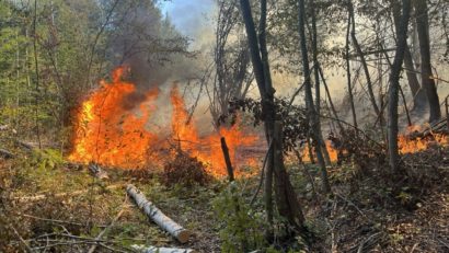 Incendiu în pădurea de la Românești