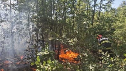 Incendii de vegetație în Timiș