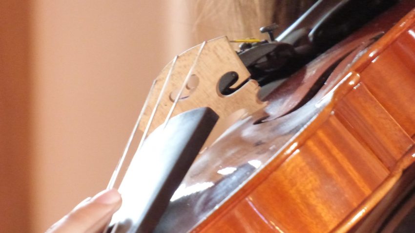 Zilele Culturii Arădene, în premieră la Viena. Concerte în Sala de Aur a Filarmonicii vieneze