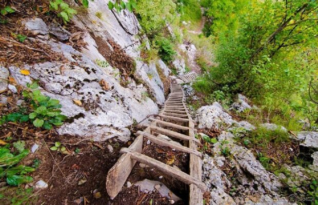 “Help Trend” la Ineleț. Ajutor pentru satul cărășean izolat în munți “Help Trend” la Ineleț. Ajutor pentru satul cărășean izolat în munți