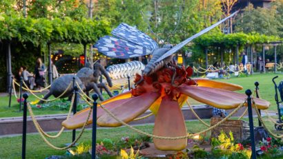 Fluturi de doi metri și alte insecte gigantice, într-o expoziție educativă la Timișoara