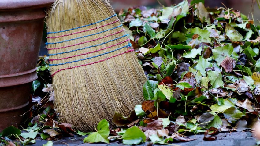 Deșeuri vegetale abandonate pe stradă în Timișoara. Tariful de colectare nu a fost redus Deșeuri vegetale abandonate pe stradă în Timișoara. Tariful de colectare nu a fost redus