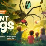 Expoziția educativă „Giant Bugs” aduce în Iulius Town o lume nevăzută, mărită de mii de ori