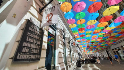 Actriță de la Teatrul Maghiar din Timișoara, rănită la repetiții
