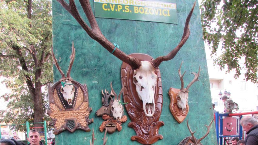 Festivalul vanatorilor si pescarilor, Bozovici, 26 septembrie 2025