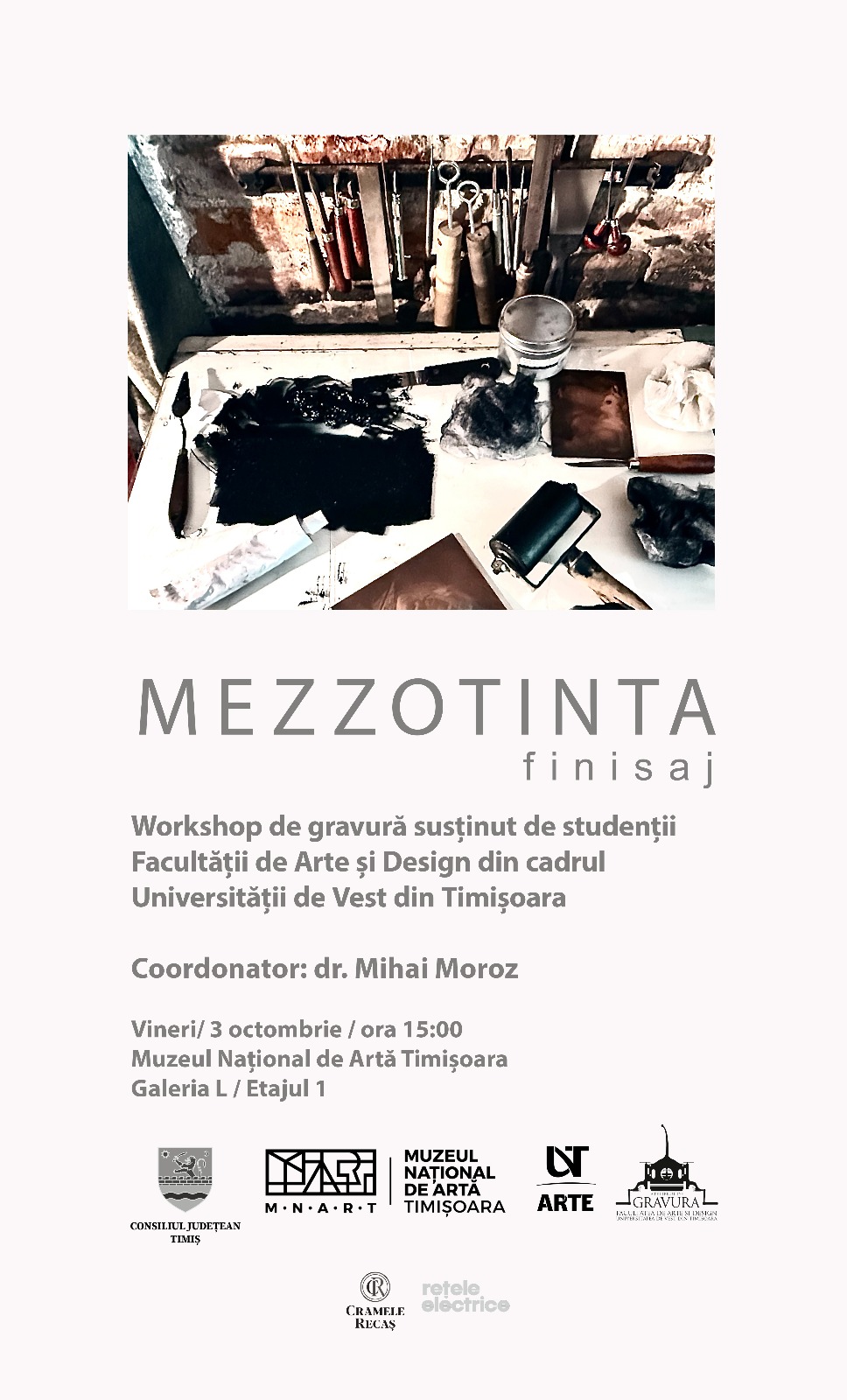 finisaj muzeul de arta timisoara