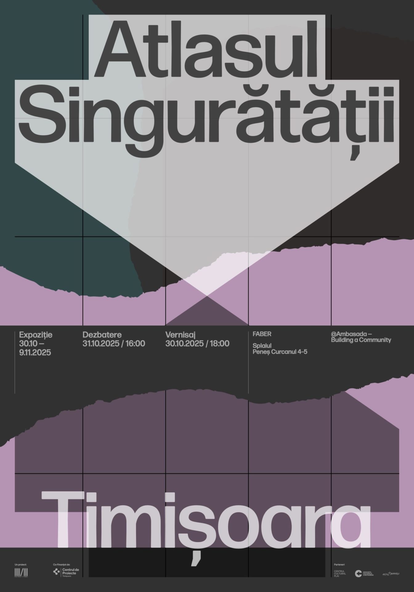 Atlasul singurătății Gen Z - TM