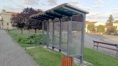 Primul acoperiş verde instalat pe o staţie de autobuz din Arad ar fi fost otrăvit