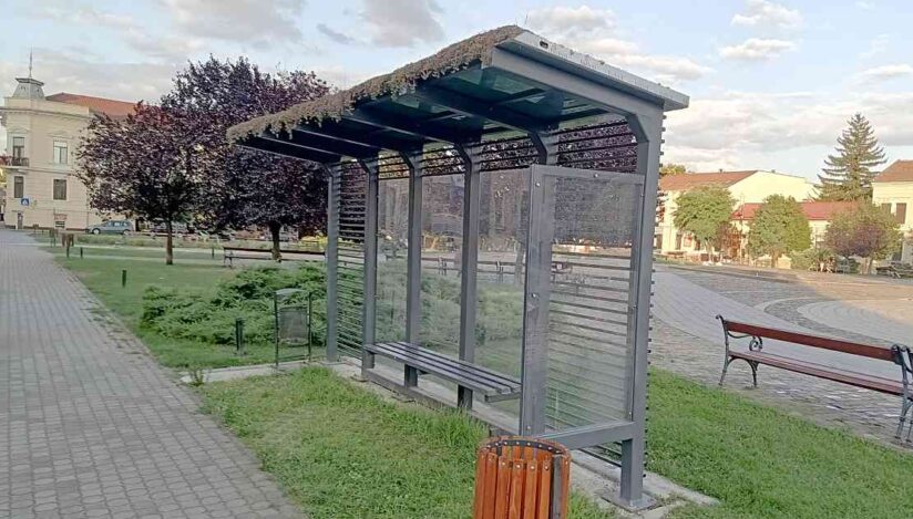 Primul acoperiş verde instalat pe o staţie de autobuz din Arad ar fi fost otrăvit Primul acoperiş verde instalat pe o staţie de autobuz din Arad ar fi fost otrăvit