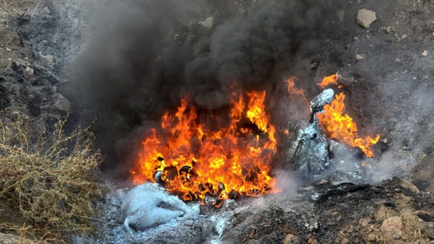 Cadavre de animale, incendiate într-o groapă lângă o fermă din județul Arad Cadavre de animale, incendiate într-o groapă lângă o fermă din județul Arad