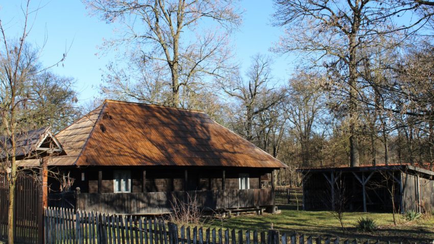 Casele tradiționale de la Muzeul Satului Bănățean, în pericol de degradare