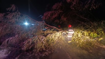 Noapte albă în județul Hunedoara. Rafalele de vânt au doborât zeci de copaci