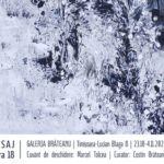 Expoziția de pictură și desen ,,Exerciții’’ a artistului vizual timișorean Călin Beloescu