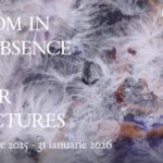 Expoziția ”Wisdom In The Absence Of Power Structures”, la Kunsthalle Bega