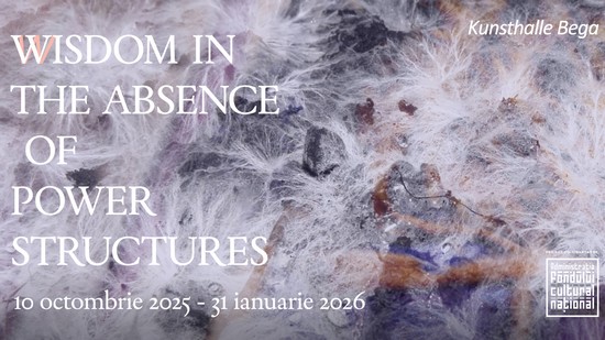 Expoziția ”Wisdom In The Absence Of Power Structures”, la Kunsthalle Bega