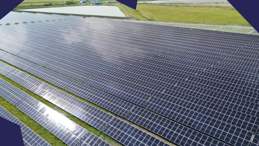 A fost inaugurat cel mai mare parc fotovoltaic din județul Arad
