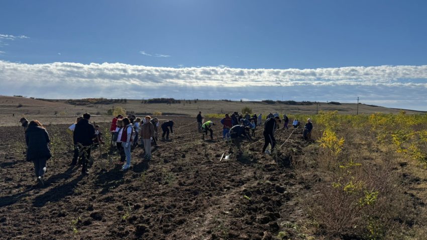 Festivalul Recoltei și campanie de plantare la Ianova