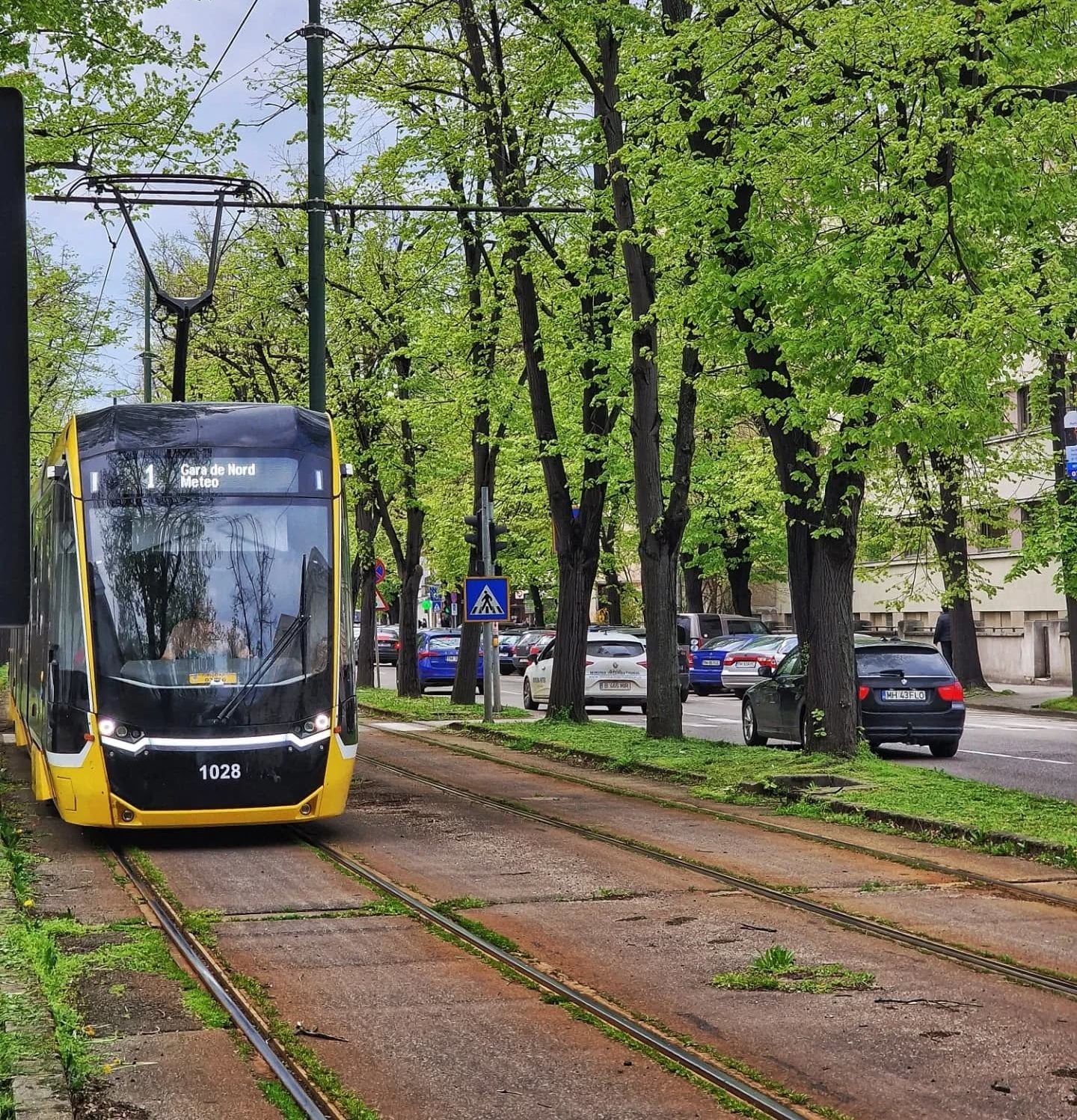 Primăria Timișoara vrea abonament de transport public pentru fiecare student din oraș