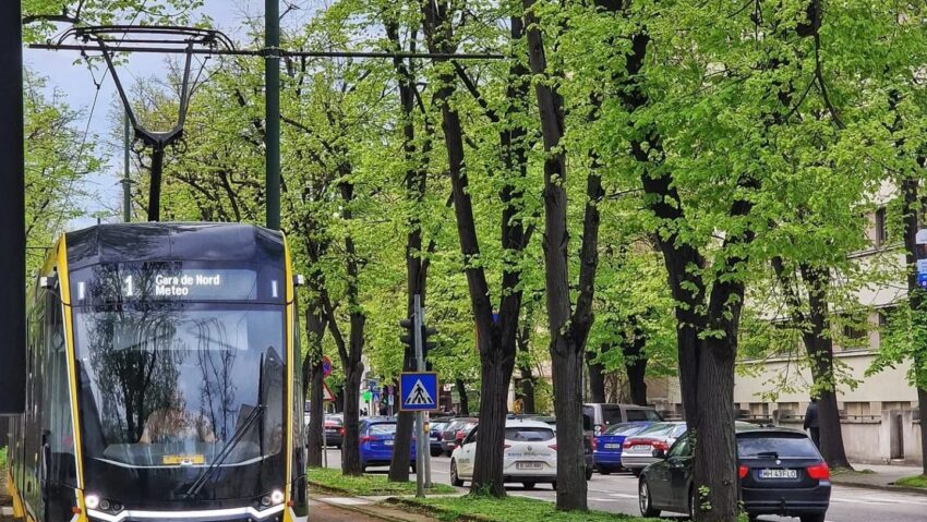 STPT anunță o acțiune amplă de frezare a liniilor pentru a reduce zgomotul tramvaielor