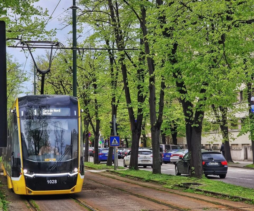 STPT anunță o acțiune amplă de frezare a liniilor pentru a reduce zgomotul tramvaielor