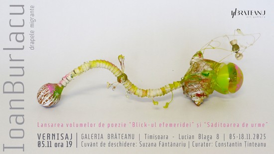 Expoziția artistului vizual Ioan Burlacu ,,Drapele migrante”, la Galeria Brăteanu din Timișoara