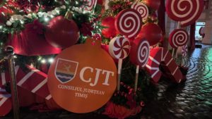 Consiliul Județean Timiș cofinanțează investiții din 25 de localități