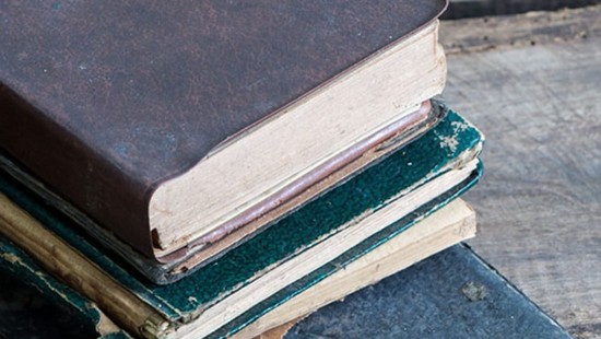 Lansarea site-ului Arhiva literaturii dialectale bănățene la Timișoara, la Muzeul Satului