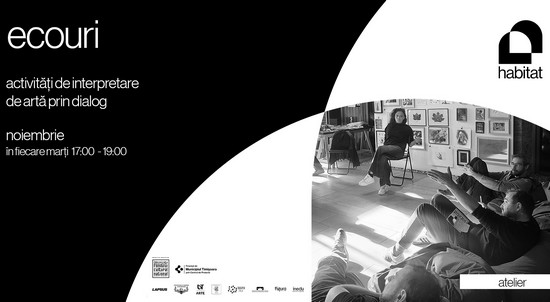 Ecouri – ateliere de interpretare a artei prin dialog și reflecție, la Timișoara