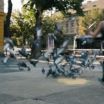 Premiera „Orașul Paralel” – ecranizare a spectacolului imersiv care a schimbat modul în care Timișoara își privește cartierele