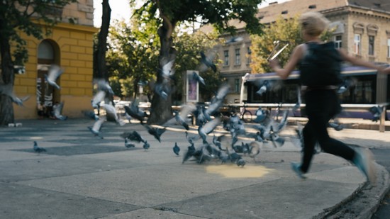 Premiera „Orașul Paralel” – ecranizare a spectacolului imersiv care a schimbat modul în care Timișoara își privește cartierele