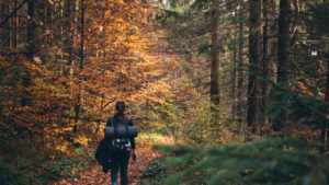 Avertismentul Salvamont: vremea se răcește brusc la munte. Recomandări pentru drumeții în siguranță