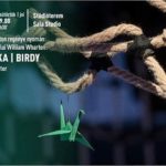 „Birdy” la Teatrul Maghiar de Stat Timișoara. Programul lunii decembrie