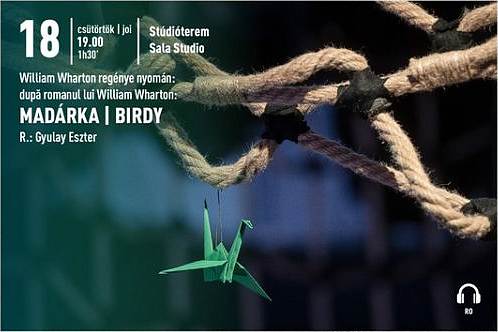 „Birdy” la Teatrul Maghiar de Stat Timișoara. Programul lunii decembrie