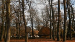 Crăciun tradițional la Muzeul Satului Bănățean: colinde, alaiuri și ateliere pentru copii