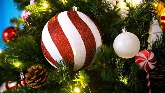 ”Brazi de poveste la muzeu”, expoziție caritabilă la Arad