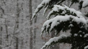 Vreme extremă în vestul țării: cod roșu de viscol și vânt puternic la munte