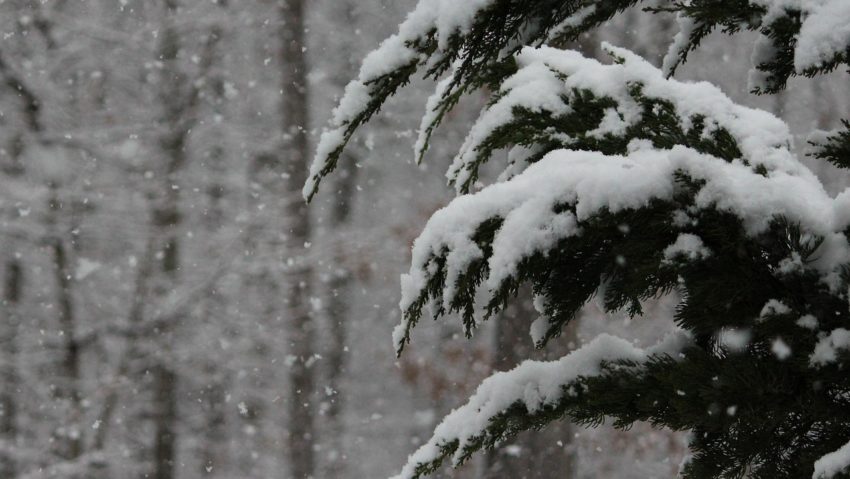 Vreme extremă în vestul țării: cod roșu de viscol și vânt puternic la munte