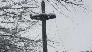 Avarie de curent în zona Girocului; mai multe localități din estul Timișului, alimentate cu generatoare