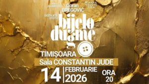 concert bijelo dugme timisoara