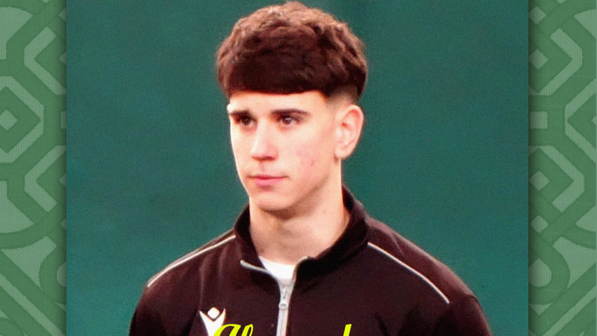 Hodoșan trece din alb-roșu în alb-verde