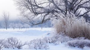Ger în județul Timiș până luni dimineață. Autoritățile fac apel la prudență