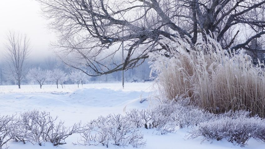 Ger în județul Timiș până luni dimineață. Autoritățile fac apel la prudență