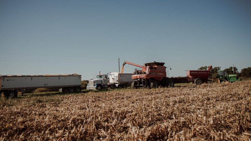 Primăria Timișoara reamintește obligația declarării terenurilor și animalelor în Registrul Agricol. Amenzi de până la 1.500 de lei