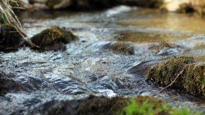 Poluare cu microplastice în estul Văii Jiului